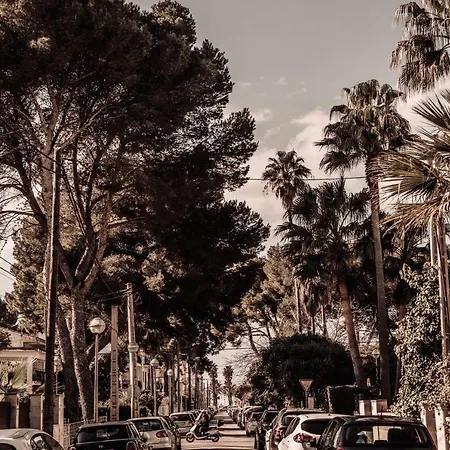 Caramelo Palma (adults Only) 3* Playa de Palma (Mallorca)